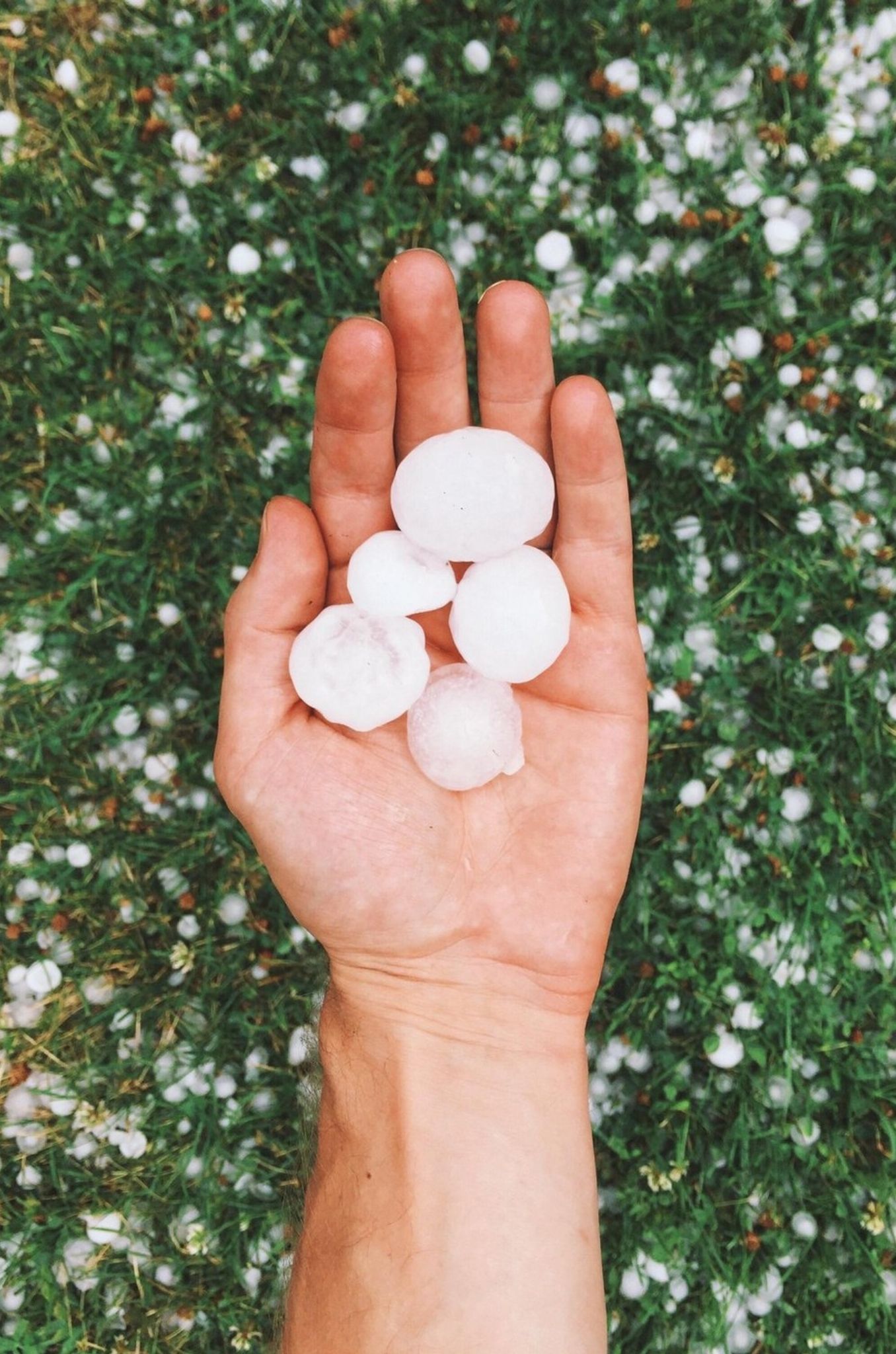 Proglašene elementarne nepogode za Grubišno Polje i Berek