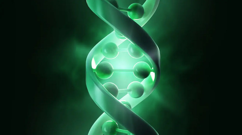 Znanstvenici objavili prvi čitavi ljudski genom: Korak smo bliže razumijevanju cijelog sustava