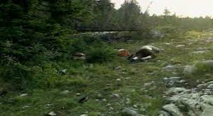 Doljani i Stipića Livada:Obljetnica jednog od najtežih zločina nad Hrvatima u BiH