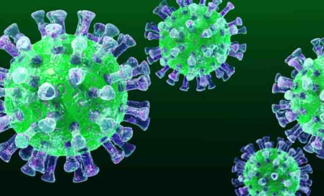 KORONA VIRUS SE ŠIRI: Nitko ne zna koliko se lako prenosi ni koje mu je porijeklo