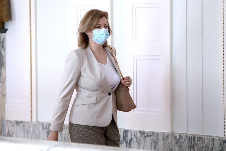 Zastupnica SDSS-a osudila ‘sramotne plakate‘: ‘Te ideje nisu nove, bilo ih je u doba NDH‘