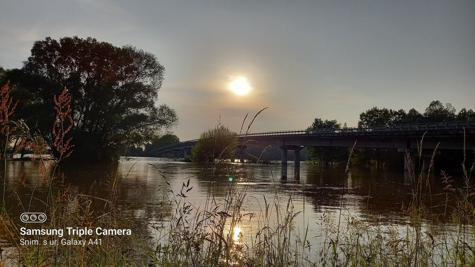 Stručnjakinja razotkrila propuste u borbi protiv poplava: 'Nemilice uklanjamo zelenilo i šume, tlo djeluje kao beton'