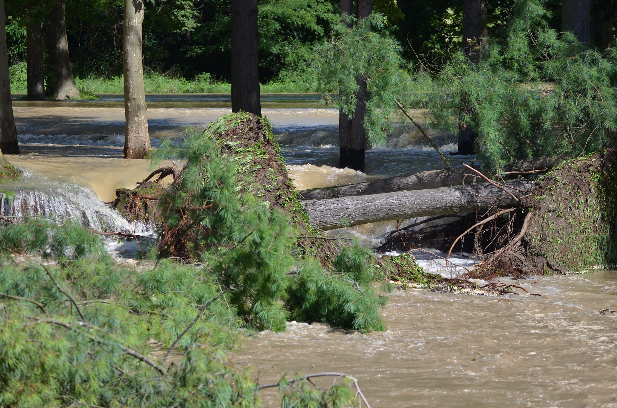 RATIMIR LJUBIĆ: SITUACIJA JE JAKO OZBILJNA, ALI JE POD KONTROLOM
