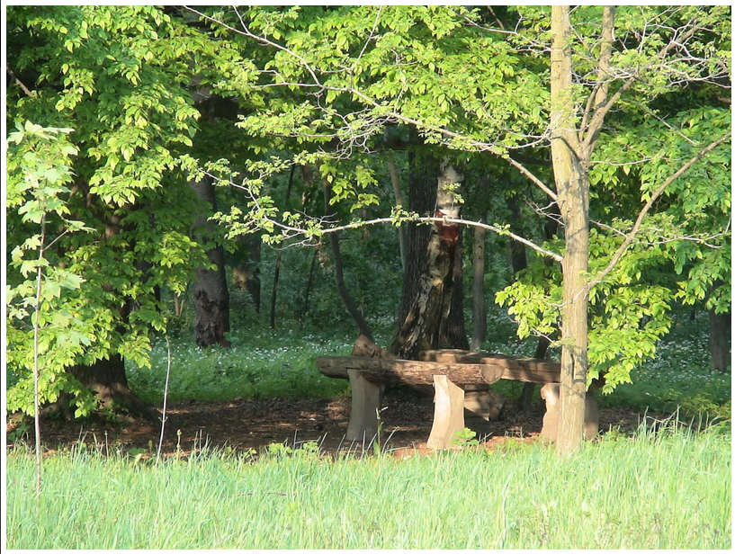 JEZA I STRAH U VARAŽDINSKOJ ŠUMI: Policija utvrđuje identitet nesretne osobe, pronađeni su ostaci kostura i odjeće