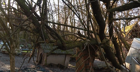 "Hrabri volonteri razotkrili dugogodišnje zlostavljanje životinja na zapuštenom imanju u Dubravicama"