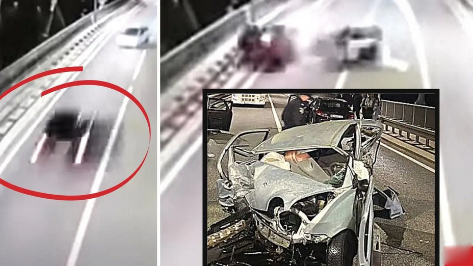 Stravična snimka sudara na mostu u Dubrovniku: Čudo je kako su nakon ovoga svi živi