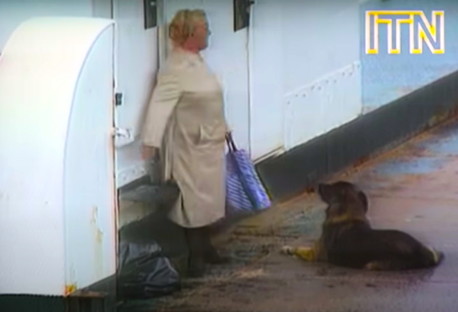 Britanci objavili stravičan video razaranja Dubrovnika: Scena žene sa psom je baš potresna