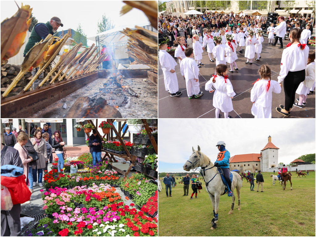 Na novouređenom gradskom trgu prava raskoš: Mnogi uživali u cvijeću, pjesmi, plesu i ribama (FOTO)