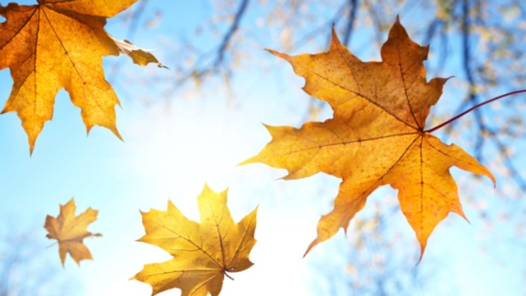 Vremenska prognoza za cijeli mjesec: I dalje blaga jesen