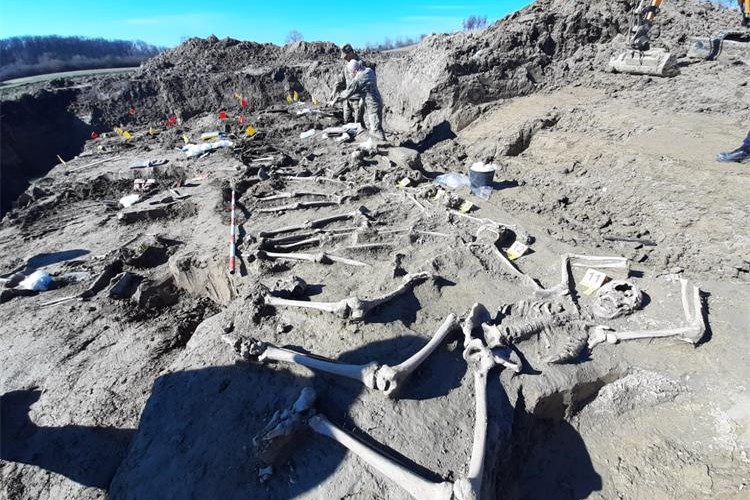 U Garešnici u tijeku ekshumacija posmrtnih ostataka