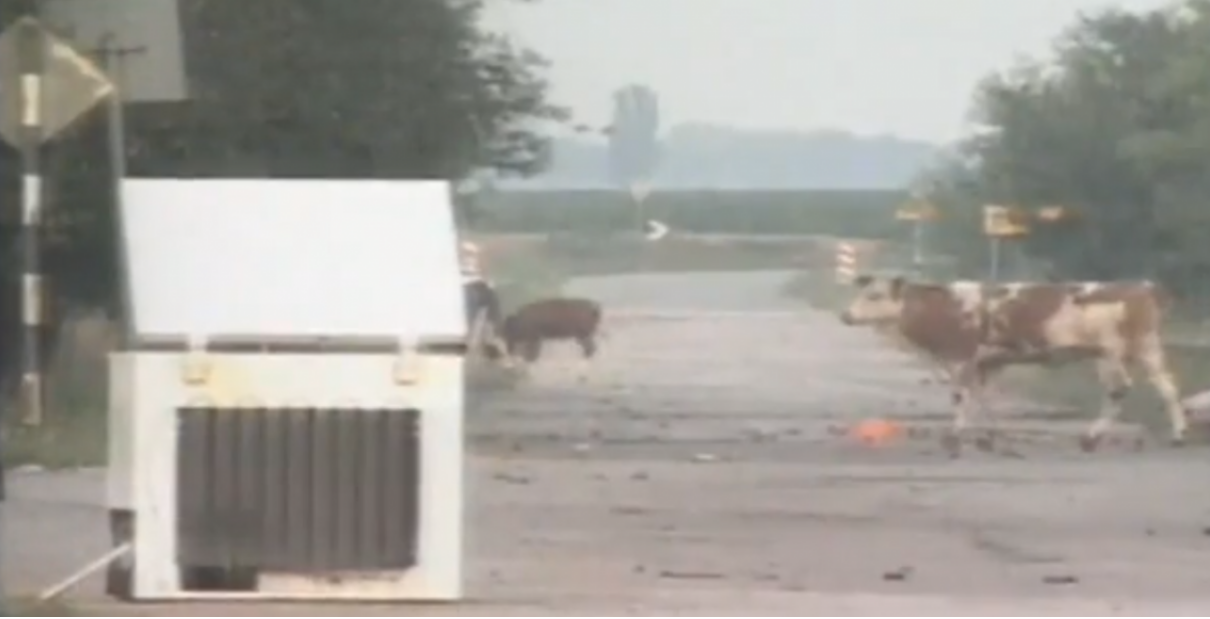 DOMOVINSKI RAT – Ćelije prvi slučaj etničkog čišćenja u Europi nakon Drugoga svjetskog rata