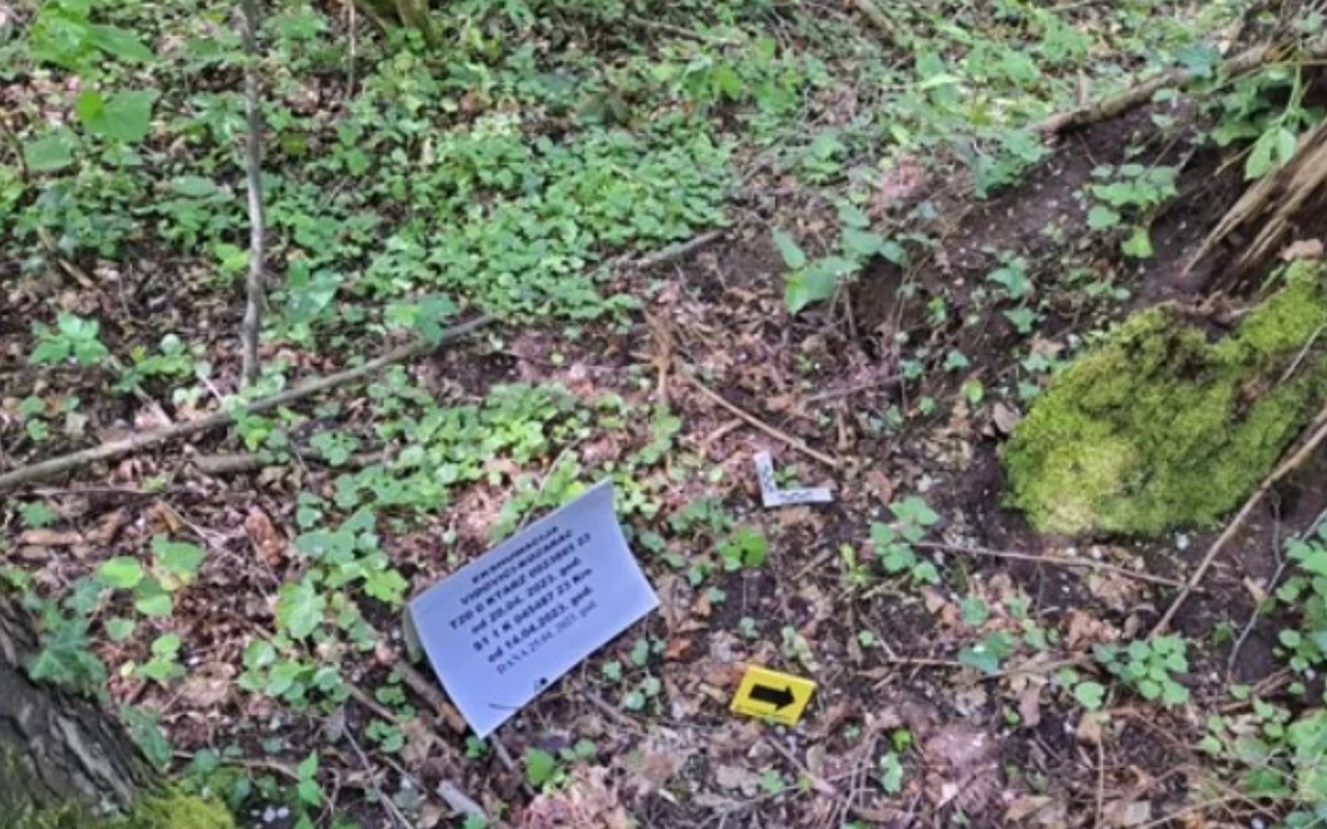 Liječnik sakrio tijelo žrtve Srebrenice: 'Zakopao je ostatke u svoje dvorište pa izgradio fontanu'