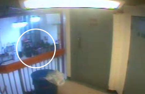 VIDEO Objavljena nova snimka trenutka pronalaska Epsteinova tijela