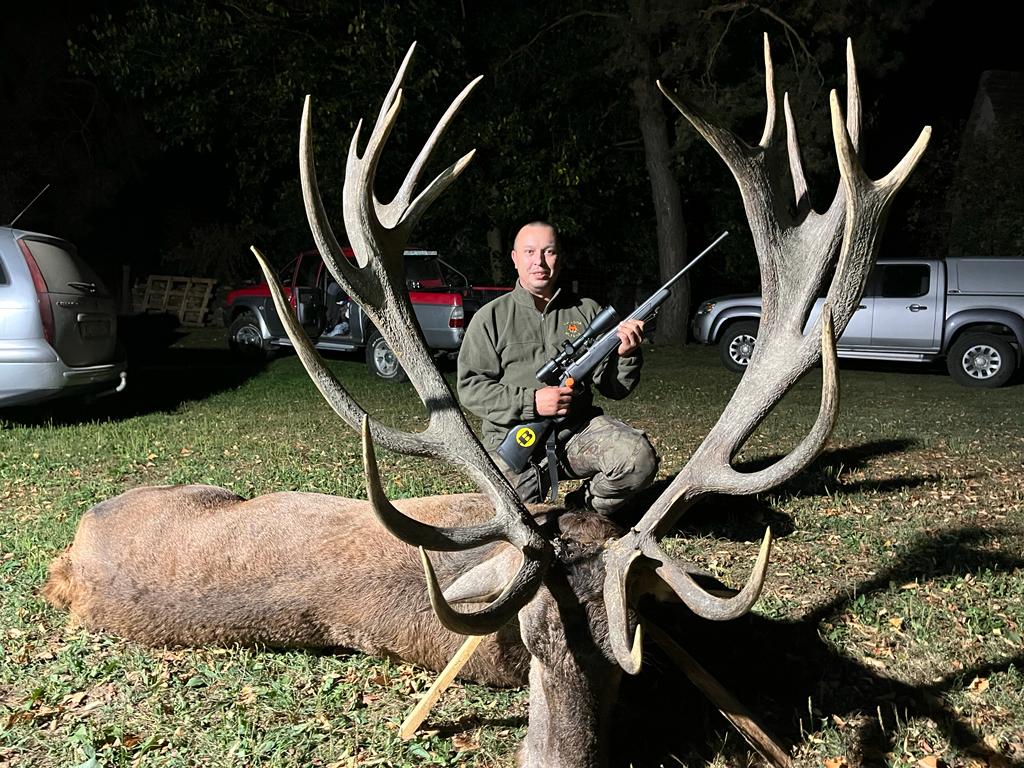 U PODRAVINI ODSTRIJELJEN ZLATNI JELEN Ovakvog su jelena ubili samo Todorić, neki Talijan i Eugen