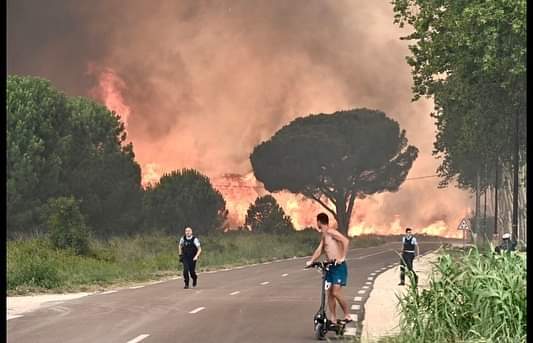 Vatrena apokalipsa na jugu Francuske: Borba za kontrolu nad divljim požarom blizu Perpignana