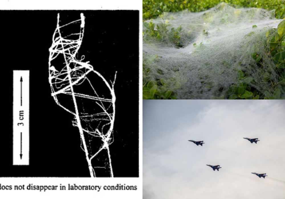 Misterij ‘paučine’ u Domovinskom ratu: Doznajemo jesu li nađeni bojni otrovi i što je bilo s istragom