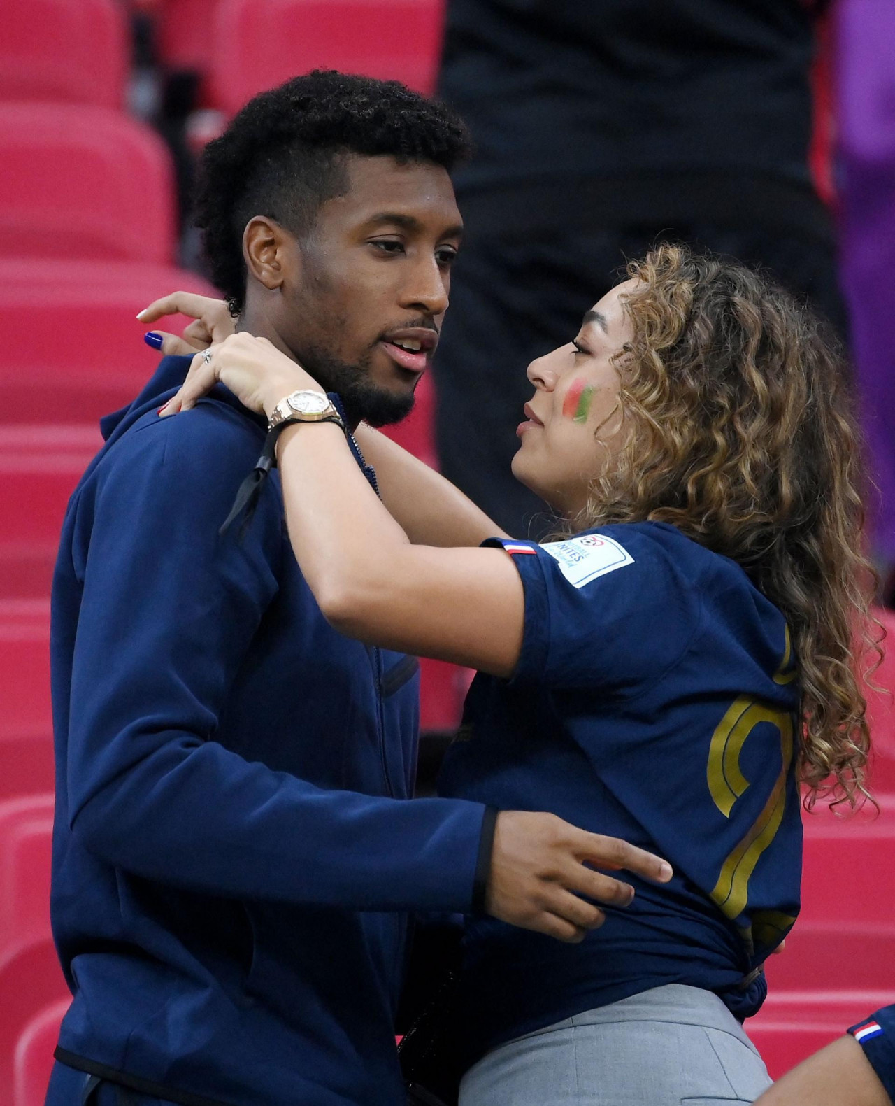 ALARM U FRANCUSKOJ: "Devina gripa" napala  Galske pijetlove