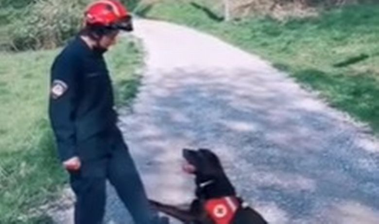 'OH NA NA CHALLENGE' VIDEO: I PAS GIZMO PLEŠE PLES KOJI JE ZALUDIO CIJELI SVIJET