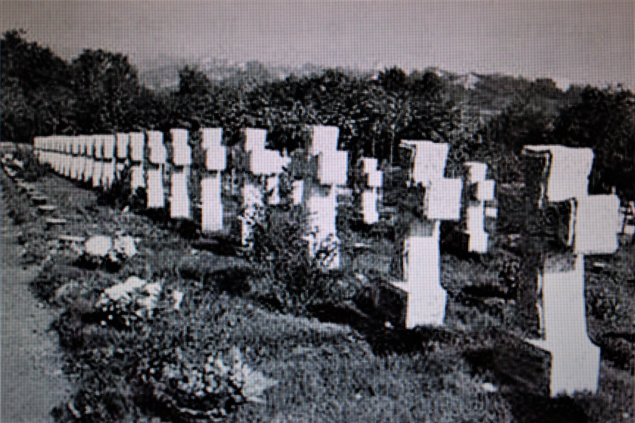 Ovo oko Bleiburga je svima promaklo: ‘Jeste li primijetili što rade kad odaju počast?’