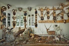 Lovačke muljaže i makinacije oko dva hotela: Sprema se možda i najveći skandal u 60 godina