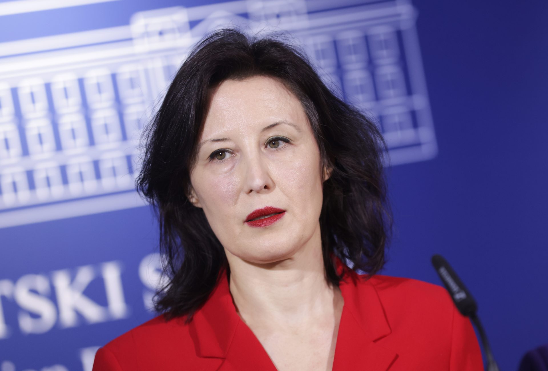 Holjevac: ‘Zbog te totalitarne izjave, Daliji treba održati lekciju iz Ustava, prava, demokracije i logike’