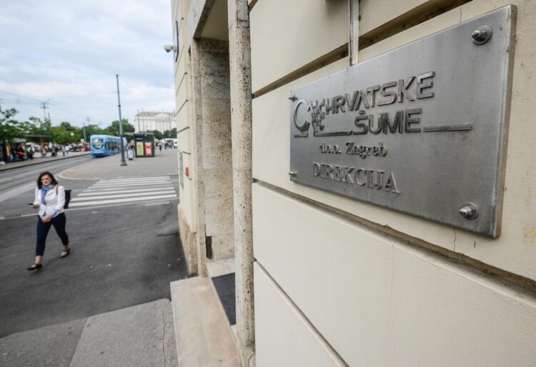 EK istražuje Hrvatsku zbog državne potpore Hrvatskim šumama. Oglasilo se ministarstvo