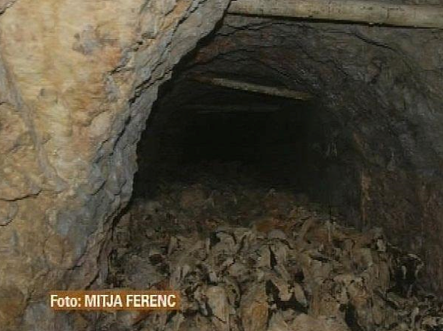 DOKUMENTARNI FILM "PARTIJA" GORDANA MALIĆA PODSJEĆA: PARTIZANSKO ZLO U HRVATSKOJ NIJE OSUĐENO - JOŠ UVIJEK SE KRIJE IZA ANTIFAŠIZMA