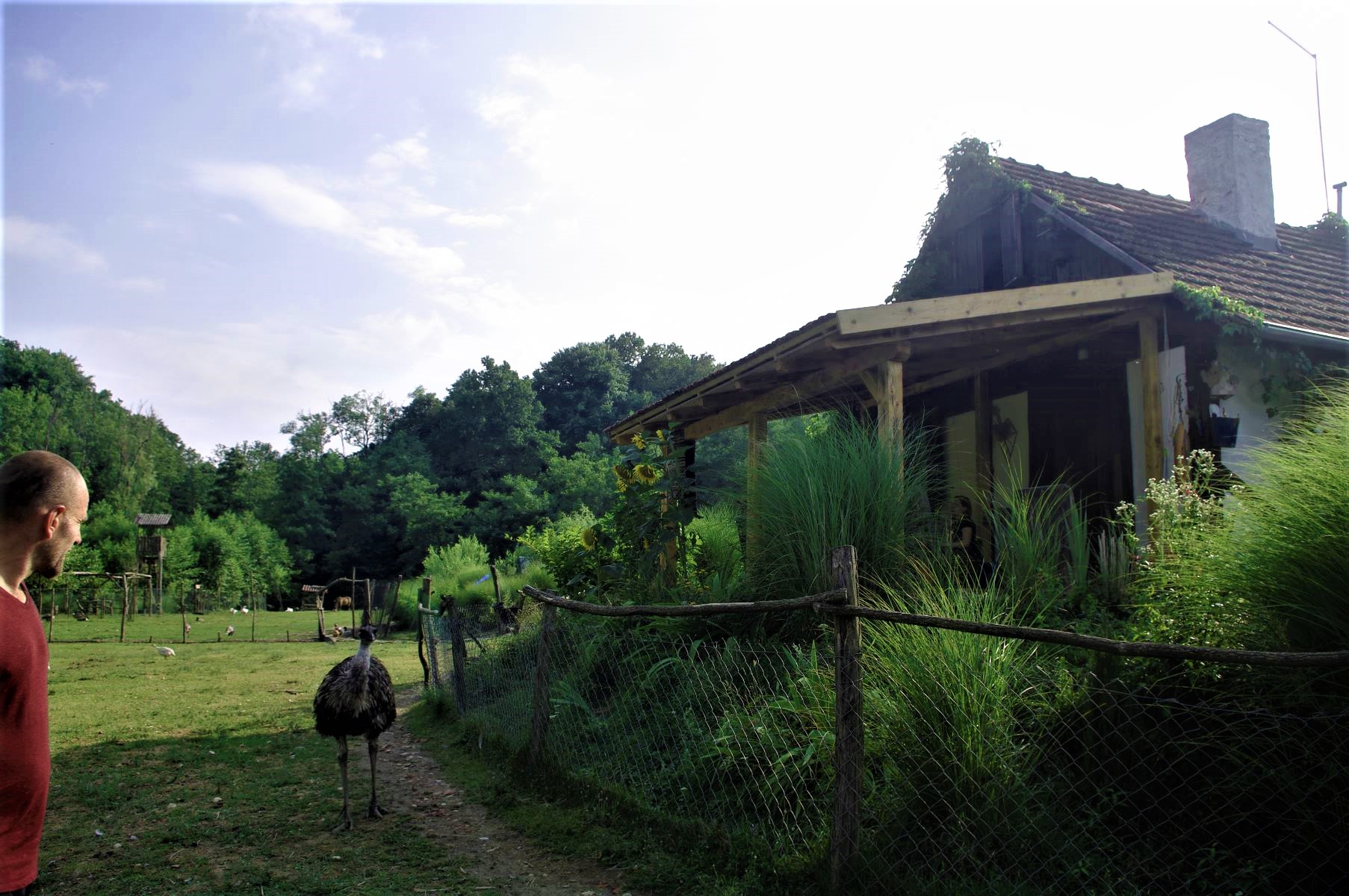 Jeste li posjetili Grgin konak? Ovo ne želite propustiti!