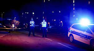 Racija u romskom naselju Parag,  nađena hrpa oružja: ‘Ovo je kao vojni poligon!‘