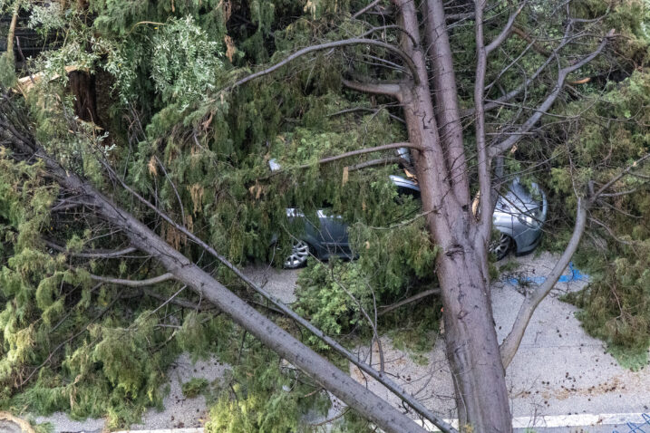 VELIKE ŠTETE  Istra zbraja posljedice žestokog nevremena, više je ozlijeđenih
