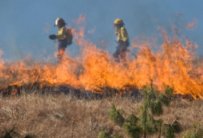 INFERNO NA ZEMLJI, ITALIJA GORI: Požar odnio dva života, jednog muškarca vatra zarobila u kući. Temperature i dalje rekordno visoke