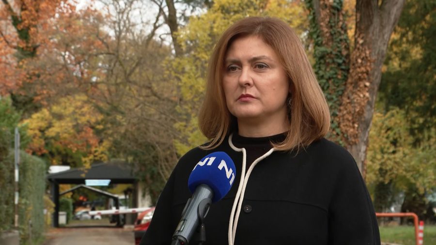 Pem Novosel: Brzi antigenski testovi su po meni rješenje za covid potvrde