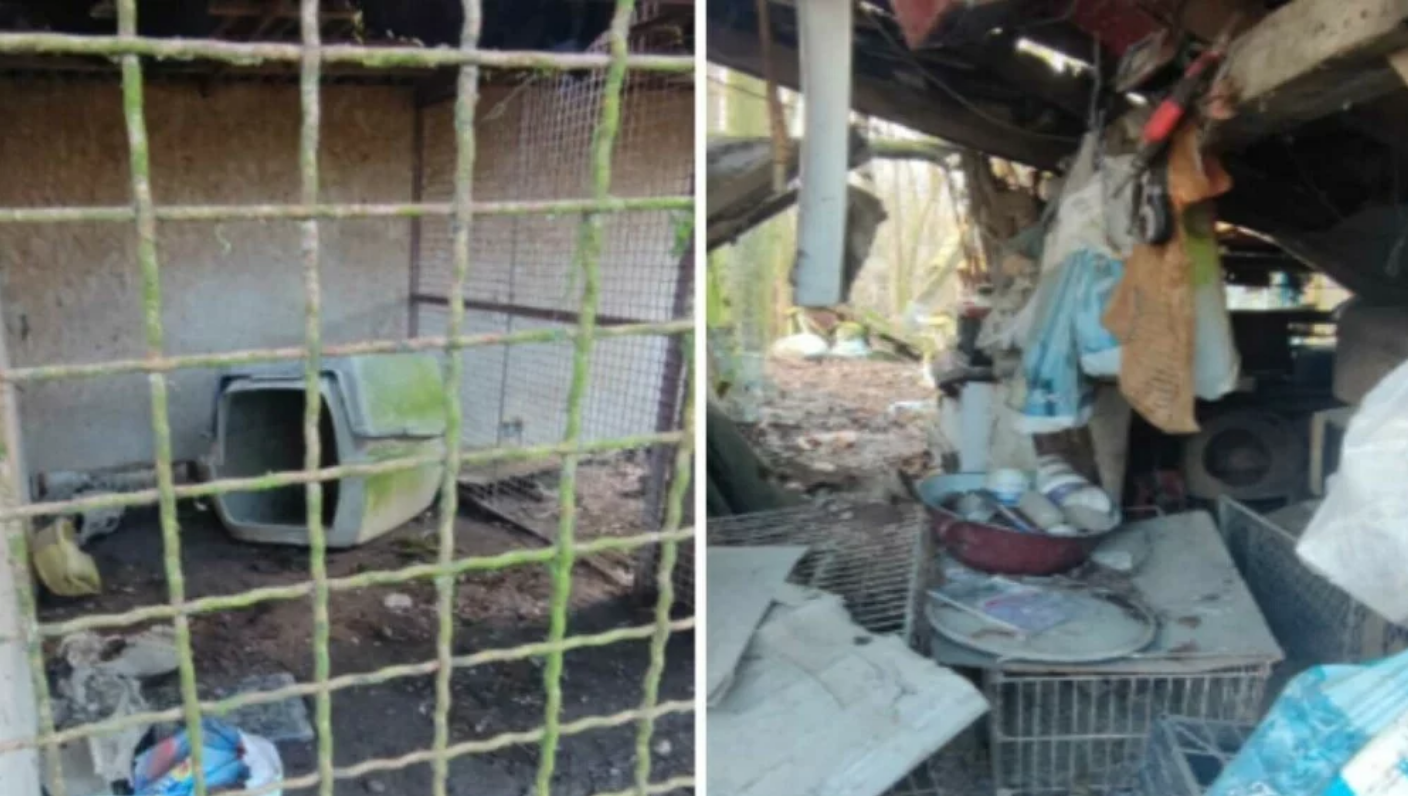 Šokantan prizor kod Zaprešića: Žena izgladnjivala pse u nehumanih uvjetima, nanoseći im nepotrebnu bol i patnju - snimka otkriva jezivu stvarnost