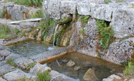 SAMO JE PITANJE DANA