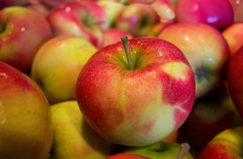 NE NASJEDAJTE! Pročitajte dva puta: Znate li kakve vam jabuke podvaljuju?
