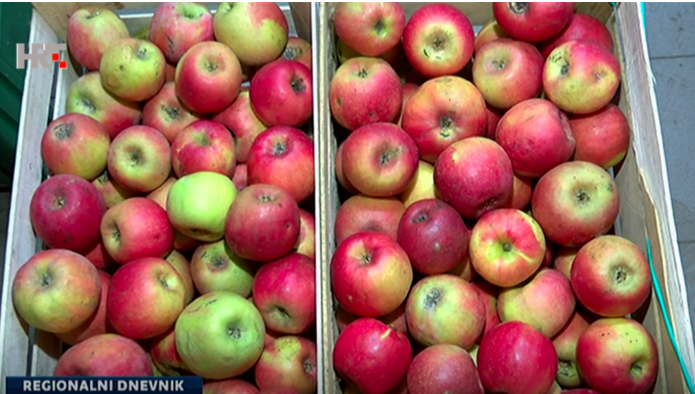 Domaći voćari otkrili jabuke lažno deklarirane kao hrvatske, s nedopuštenim tvarima