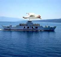 RADITI U JADROLINIJI ‘Ustajanje u 4.30, radni dan traje do 23 sata, radimo 30 dana u komadu, spavamo na brodu... A pogledajte naše plaće!‘