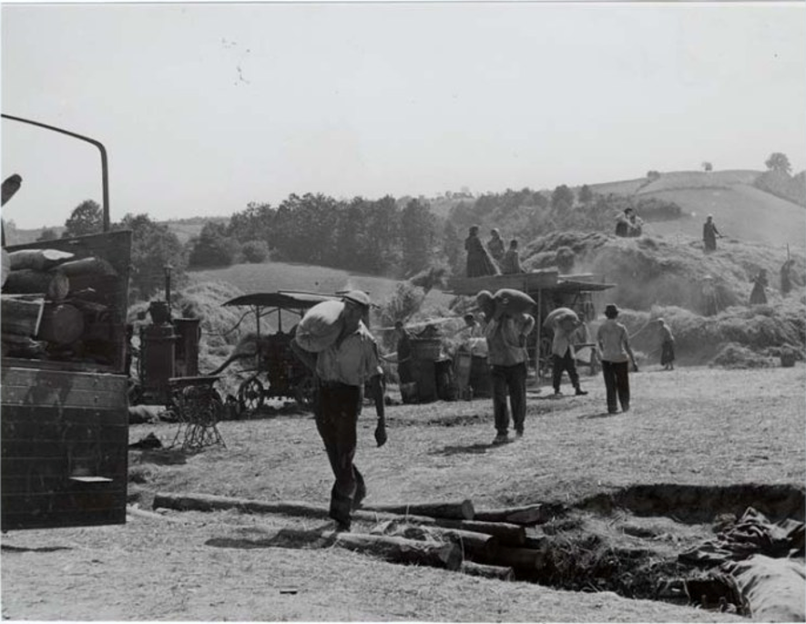 Manipulacije žrtvama Drugog svjetskog rata i mit o Jasenovcu