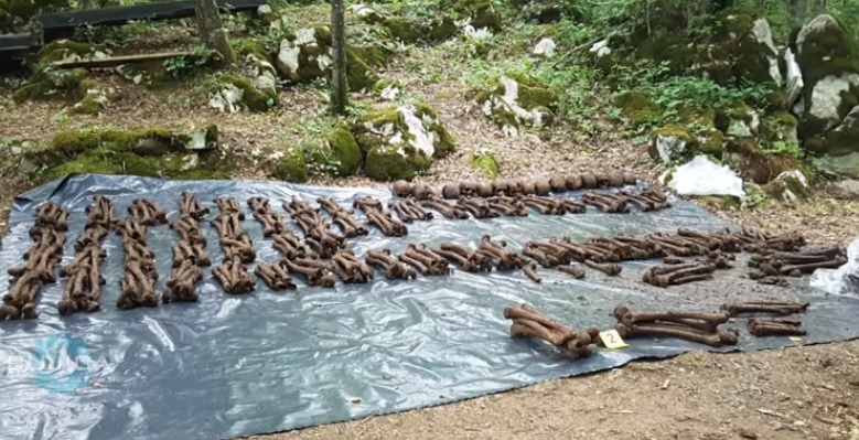 Željko Sačić: "Na tom protuhrvatskom “nasljeđu” “nastale” su i naše, suvremene Jazovke , od Ovčare do Banovine, Slunja, Saborskog, Široke Kule ....."