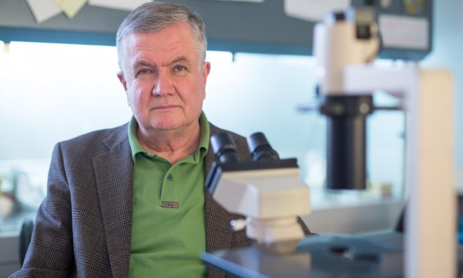 Jonjić: 'Zdravstveni sustav polako puca po šavovima, treba spriječiti kolateralne žrtve'