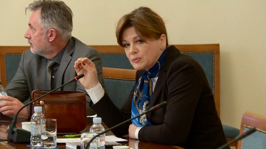 Karolina Vidović Krišto na saslušanju oštro kritizirala Šimpragu i Plenkovića