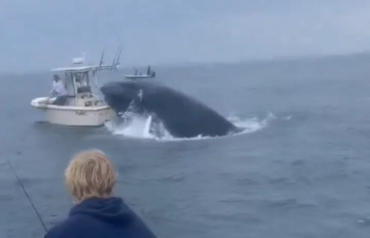 Kit zaskočio brod s mornarima i prevrnuo ga: 'Ovo je ludo, oni to ne rade slučajno'