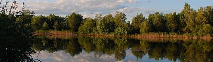 OBAVIJEST Stožer civilne zaštite Koprivničko-križevačke županije