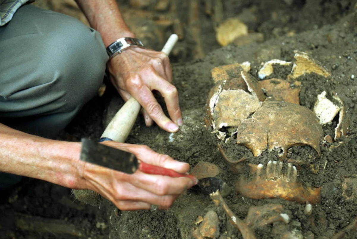 KOMUNISTIČKI ZLOČINI Otkrivena masovna grobnica na području Kočevskog roga