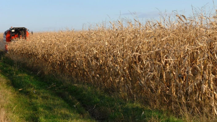 ‘Kombajn-banda’ hara sjeverom Hrvatske…