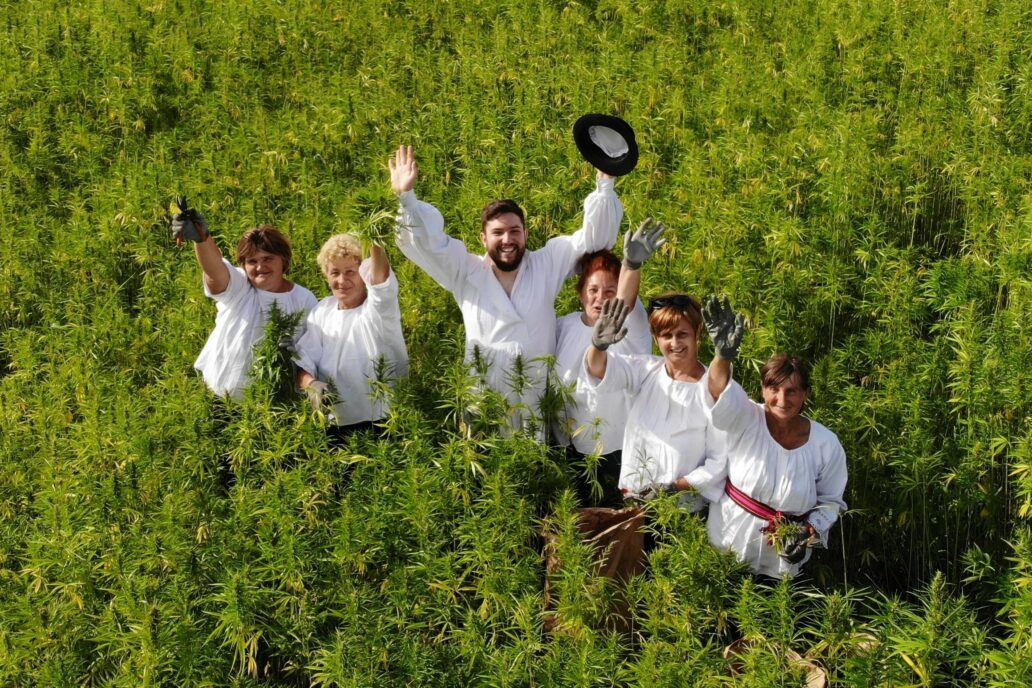 Oj, Slavonci, manite se žita, za konoplju sve se više pita!