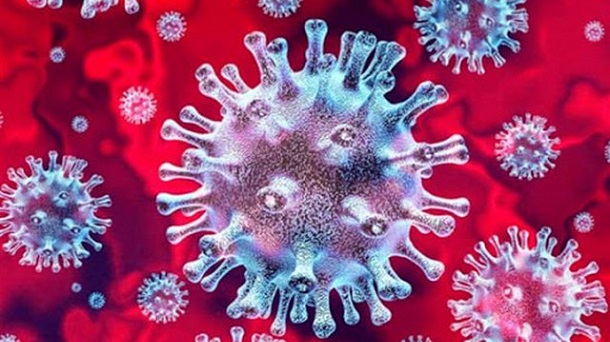 Virus je u Hrvatsku stigao znatno mutiran iz Austrije ili sjeverne Italije