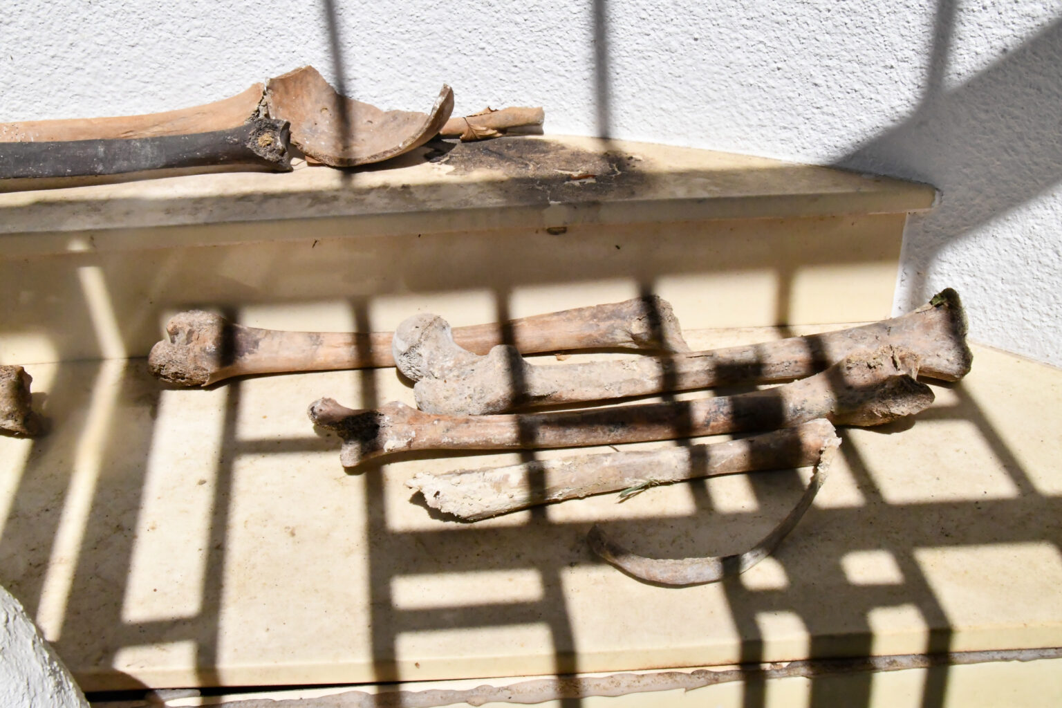 Paralelna Hrvatska: Jedni mole, drugi slave… a partizani nikad ne miruju