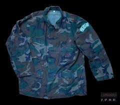 DOMOLJUBNA POEZIJA Velimir Velo Raspudić: Košuljo sveta