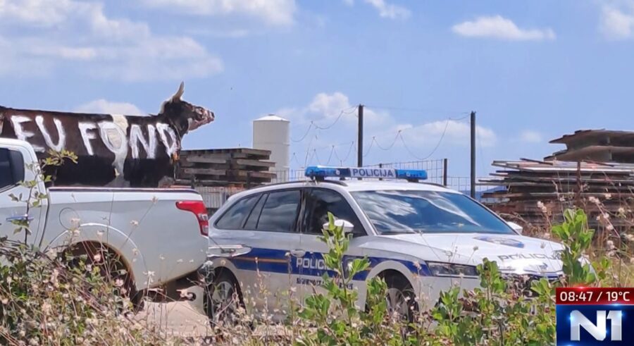 Problemi stočara: “Nogometaš Dinama procjenjivao što je krški pašnjak”